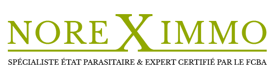  Expertise xylophage  Le Havre